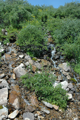 002 - cascade - Mosquito Pass