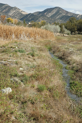 013 - Typha creek with Grand Hogback