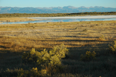 002 - evening reflection - Blanca Wetlands